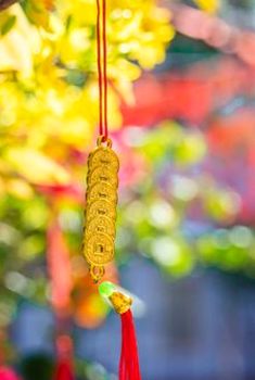  Sân trò chơi bốn phương 